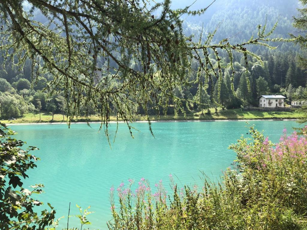 Profumo Di Legno A Cielo Alto La Coquille Apartman Breuil-Cervinia Kültér fotó